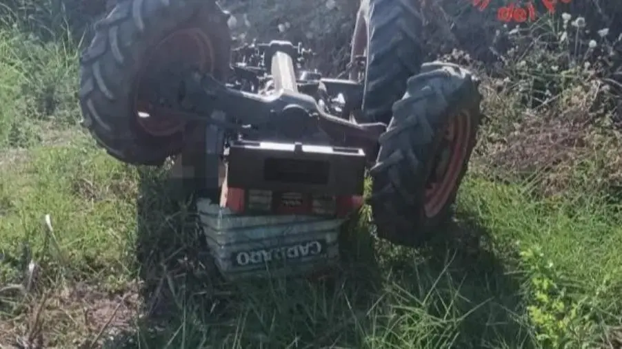 Muore schiacciato dal trattore a Catanzaro, Federacma rinnova l'allarme sicurezza sui mezzi agricoli 