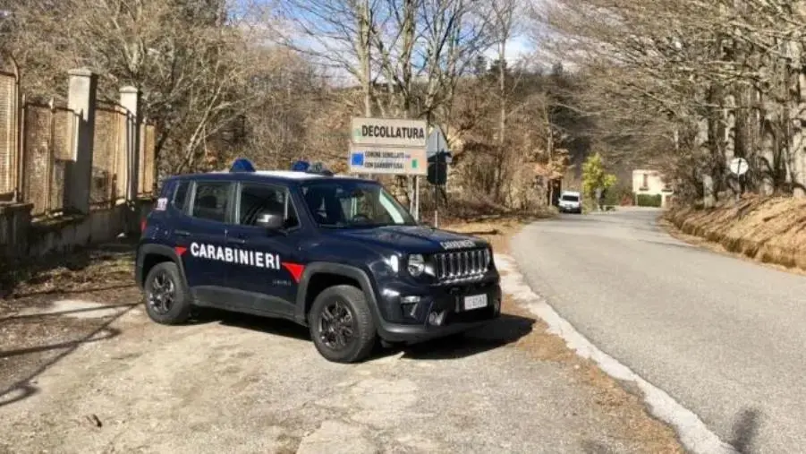 images Controlli sulla corretta detenzione degli animali domestici: nel Lametino multe a 5 persone