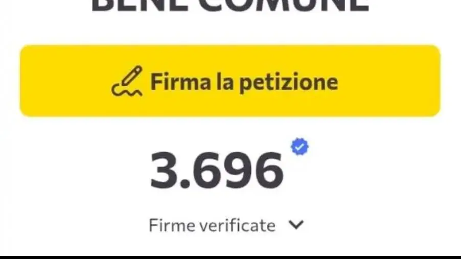 Oasi Marina Scolacium, 3.700 firme per chiedere verità e giustizia sugli abbattimenti tra Roccelletta e Squillace