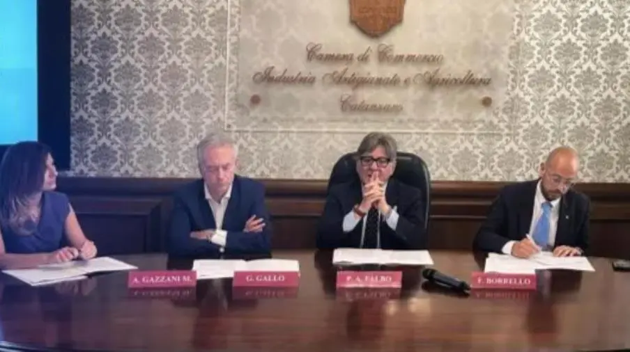 Catanzaro, presentato il bando "EVOTasting 2025. Un viaggio nei sapori dell’olio calabrese"