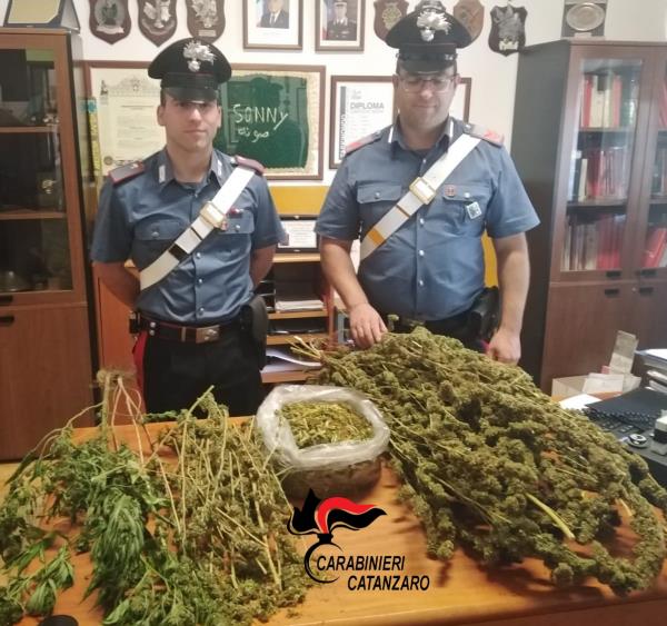 Catanzaro. Aveva quasi due chili di marijuana in casa: ai domiciliari un 30enne di Santa Maria