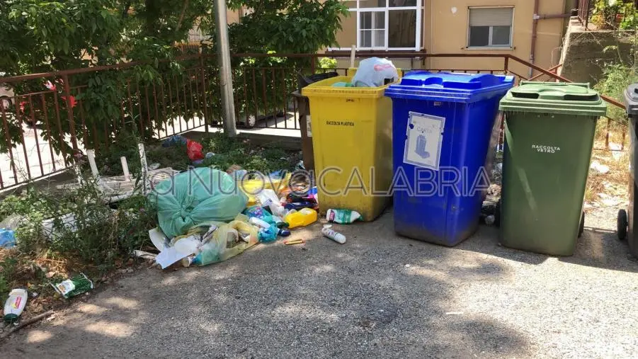 images Catanzaro, rifiuti sparsi nel quartiere Isonzo diventano banchetto notturno per i cinghiali