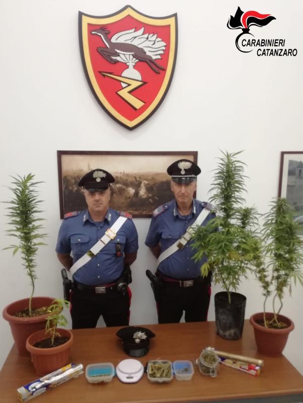 Teneva le piantine di marijuana sul balcone, i carabinieri arrestano un 38enne a Catanzaro Lido