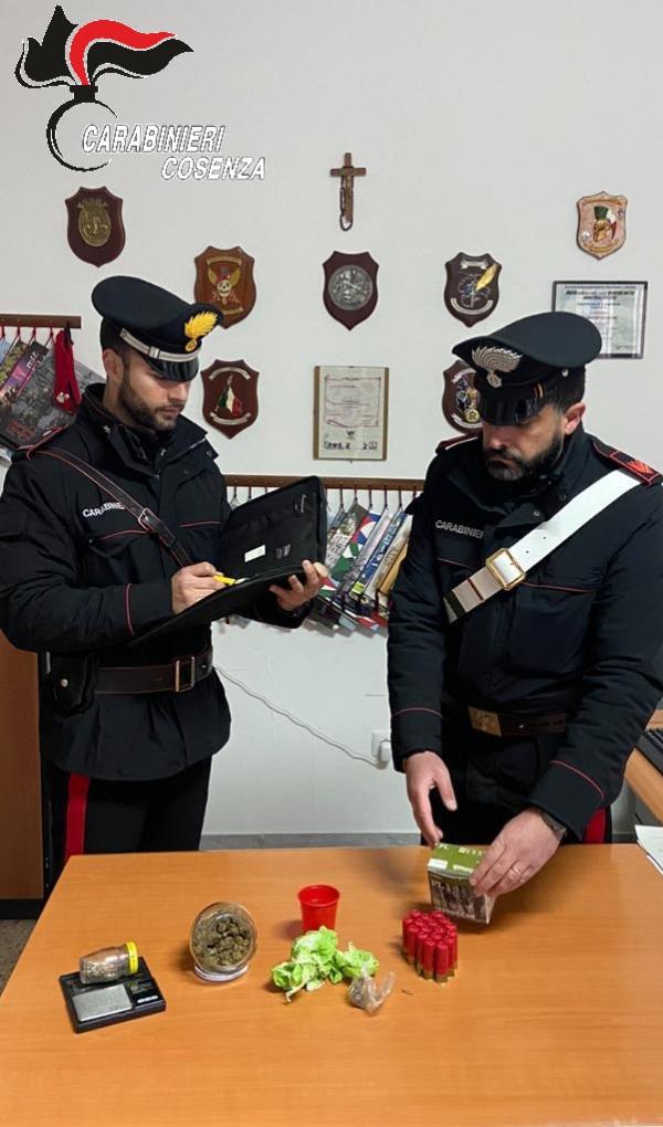 images Rende, prosegue la campagna antidroga dei carabinieri: una denuncia e sette segnalazioni 