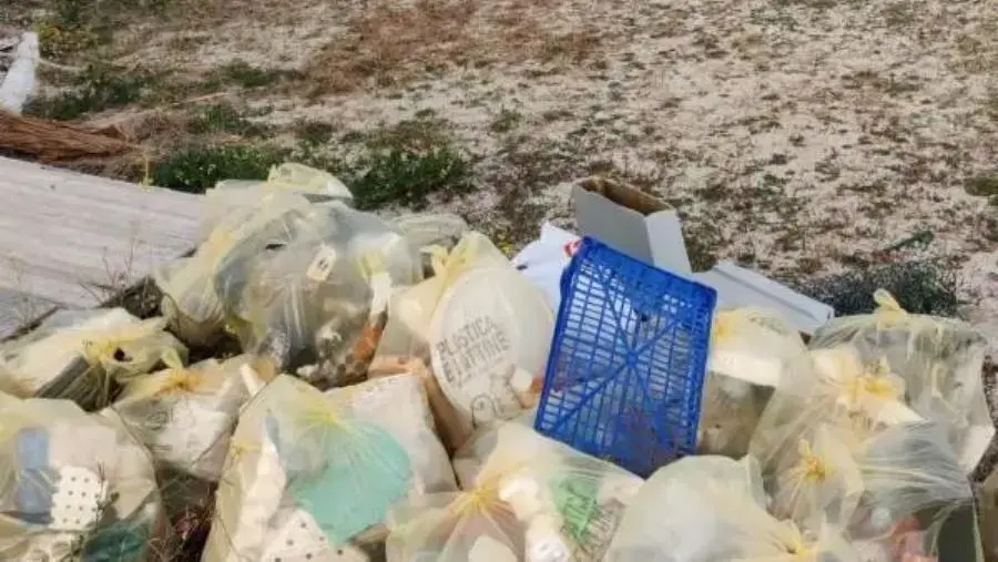 Soverato, la sezione di Italia Nostra ripulisce la spiaggia: raccolti rifiuti ingombranti e microplastica