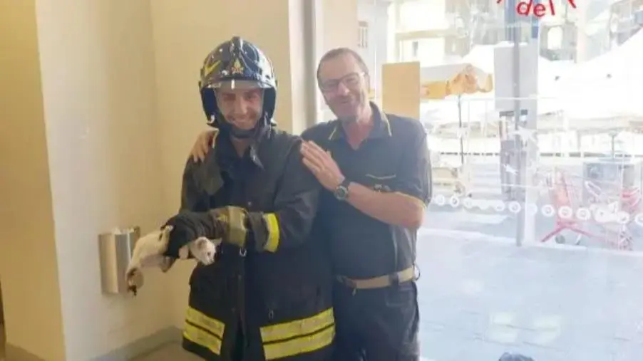 Lamezia, i vigili del fuoco salvano un gattino durante i festeggiamenti patronali