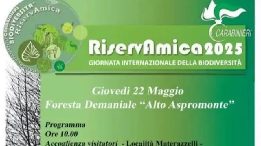 images RiservAmica 2025, il Reparto Carabinieri Biodiversità di Reggio Calabria apre gli accessi alla Foresta Demaniale “Alto Aspromonte”