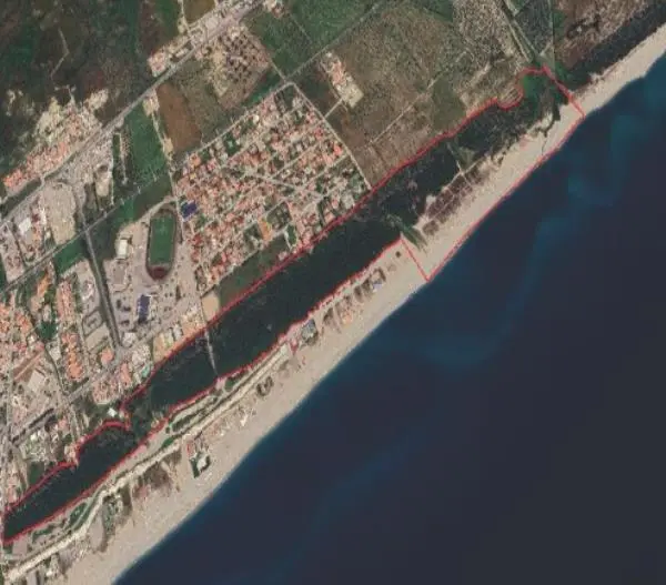 images Le ‘Dune di Giovino’ diventano una riserva naturale regionale, Lega Catanzaro soddisfatta