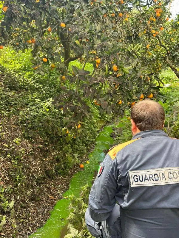 Sversava le acque di scarto in un torrente: sequestrato un frantoio oleario nel Reggino