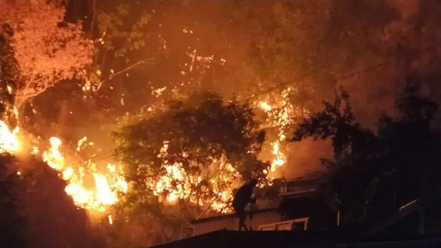 Emergenza incendi a Gimigliano: 50 famiglie evacuate nella notte