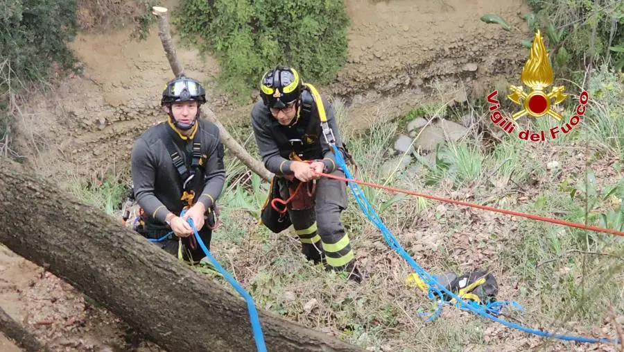 Esercitazione SAF nella Riserva naturale del Vergari: vigili del fuoco e tutela ambientale in azione