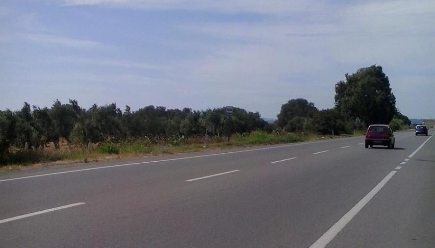 images Messa in sicurezza strada statale 106, Taverniti: “Risorse inesistenti nel PNRR”