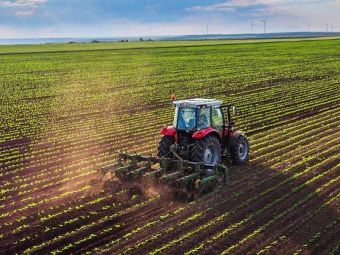 Agricoltura e Domanda unica 2022, in pagamento dalla Regione oltre 44 milioni di euro