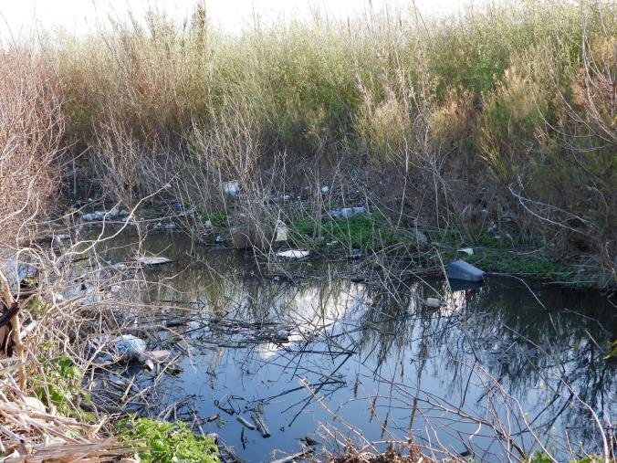 images Meetup M5S Catanzaro: "Si bonifichi subito l'area attorno al Corace, ormai divenuta una vera e propria discarica a cielo aperto"