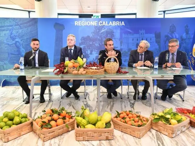 "Calabria Terra Buona", presentato il portale regionale dell'agroalimentare