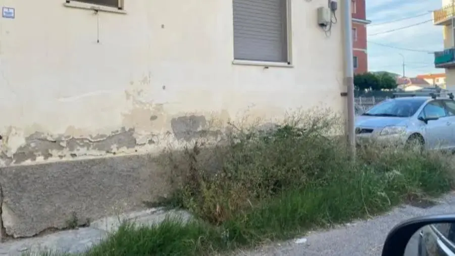 Catanzaro, Costa: "In via Angitola l'erba sta raggiungendo le finestre delle case" 
