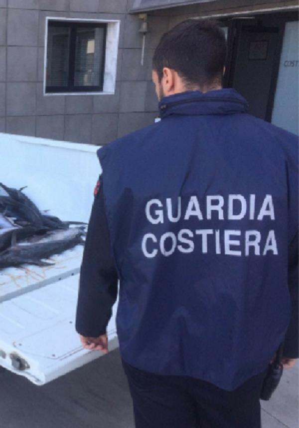 images La Guardia Costiera sequestra alcuni immobili abusivi sulla spiaggia di Ricadi