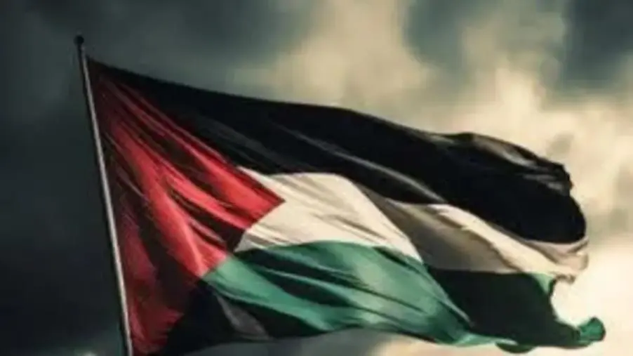 I Comuni della Calabria uniti per la Palestina: giovedì 5 giugno l'esposizione della bandiera