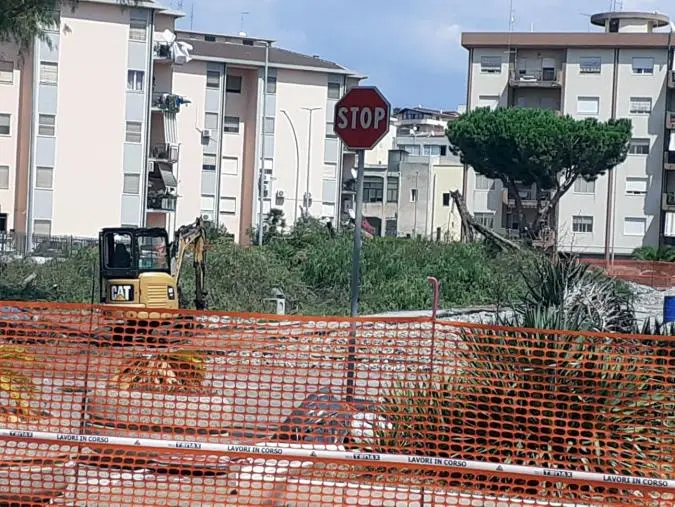 Sinistra Popolare RC: "Nuova azione vandalica (tutelata dal Comune di RC) in piazza Milano: altro albero abbattuto"