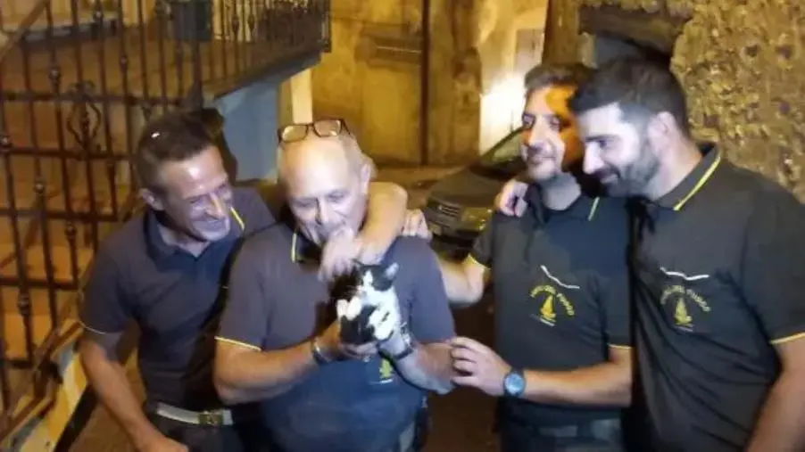 Cortale, gattino intrappolato nella presa d’aria in una casa: salvato dai vigili del fuoco