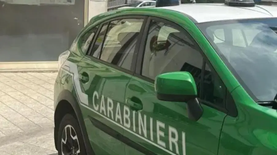 Tutela del patrimonio naturalistico nel Parco nazionale d’Aspromonte: il bilancio dei controlli