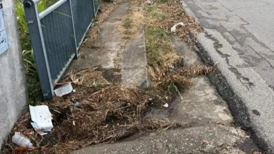 Catanzaro, il Comitato del quartiere Janò segnala pericolosi cumuli di rifiuti a bordo strada 