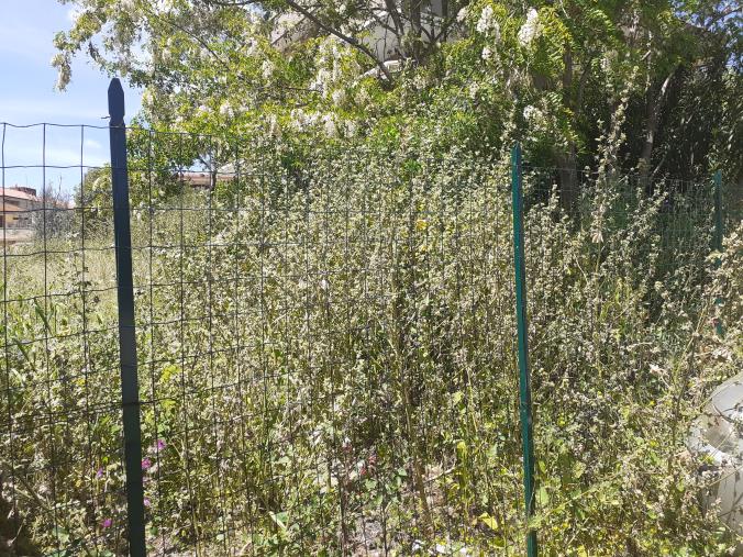 images Il degrado lungo le strade di Lamezia Terme sotto i riflettori di  "Lamezia Maltrattata" e "Lavoro Sicurezza e Salute"  