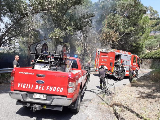 images Roghi nella zona "Fontana Vecchia" a Squillace. Vigili del Fuoco in azione (VIDEO)