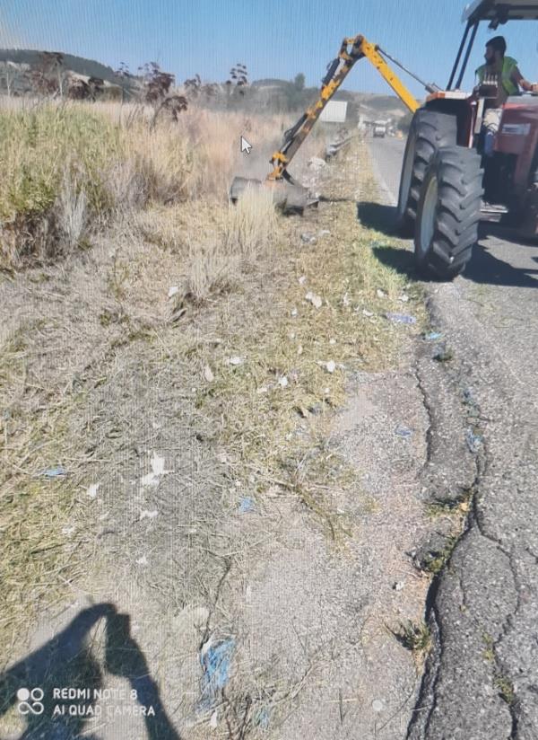 images Al via i lavori di decespugliamento, diserbo e pulizia sul ciglio della strada provinciale 166