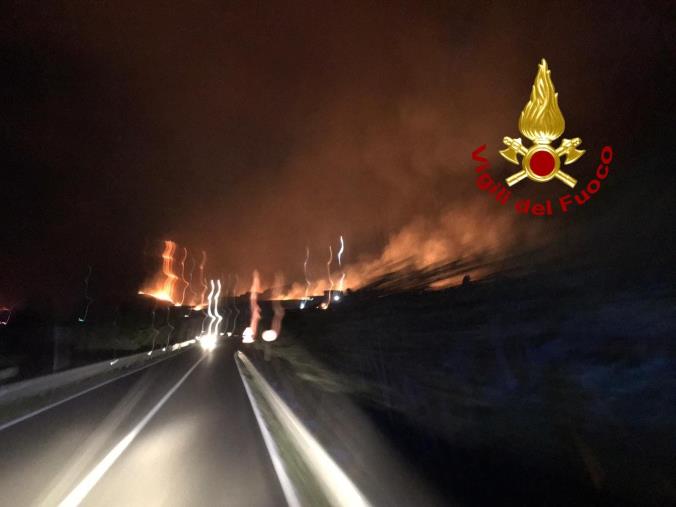 images In fiamme arbusti e macchia mediterranea nel Lametino, il fuoco lambisce l'autostrada 