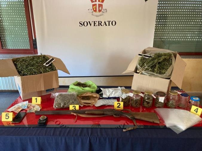 images Droga a Davoli. Sequestrati 5 chili di marijuana e 24 piantine: arrestato un 27enne