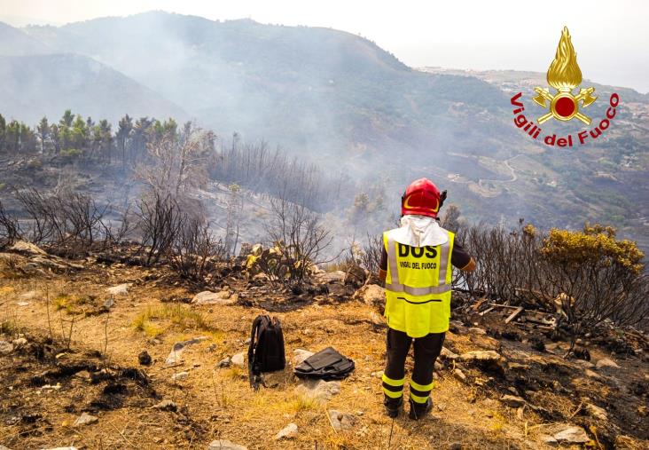 images In fiamme il litorale tirrenico nei comuni di Scalea e San Nicola Arcella 