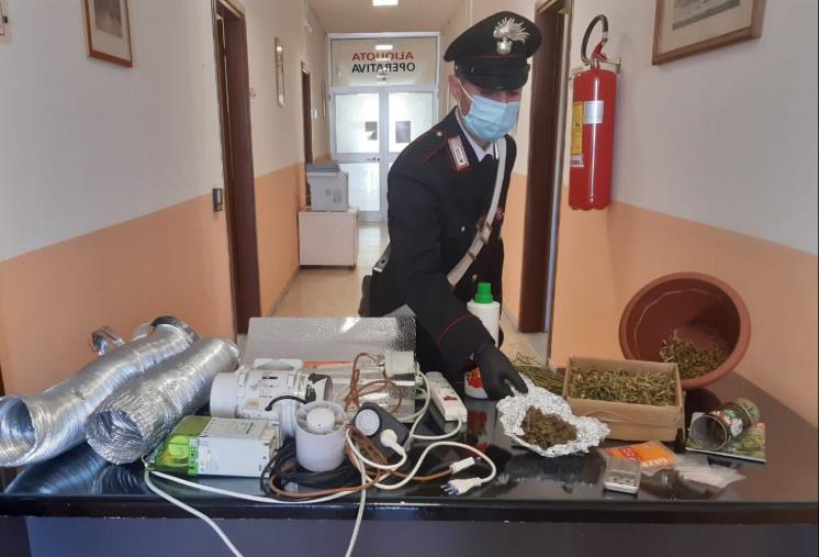 images Detenzione di marijuana, ricettazione e furto di energia elettrica, 23enne arrestato a Cirò Marina 