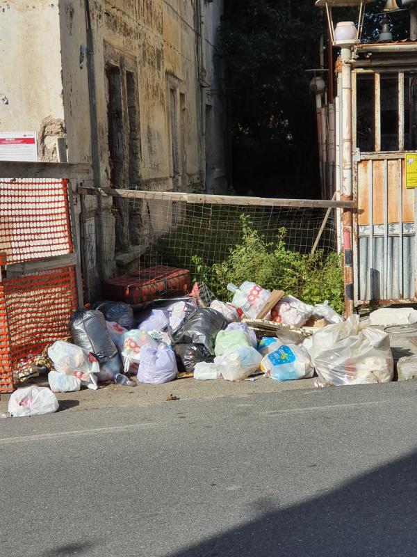 images I rifiuti della vergogna lungo la strada principale di Catanzaro Sala (FOTO)
