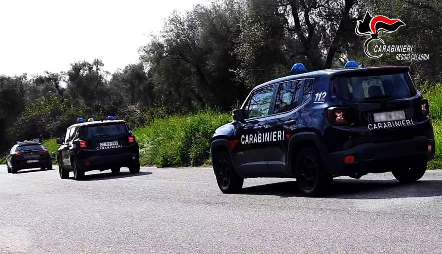 images Controlli dei carabinieri alle aziende agricole nella piana di Gioia Tauro: sanzioni fino a 14mila euro