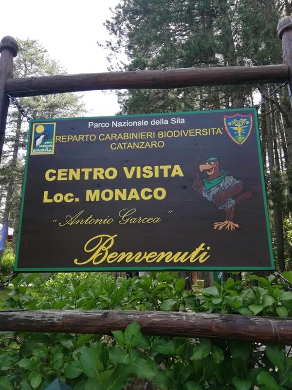 Rinverditi, ossigenati, nella full immersion al Centro Visite “Antonio Garcea ” di Monaco nella Sila piccola