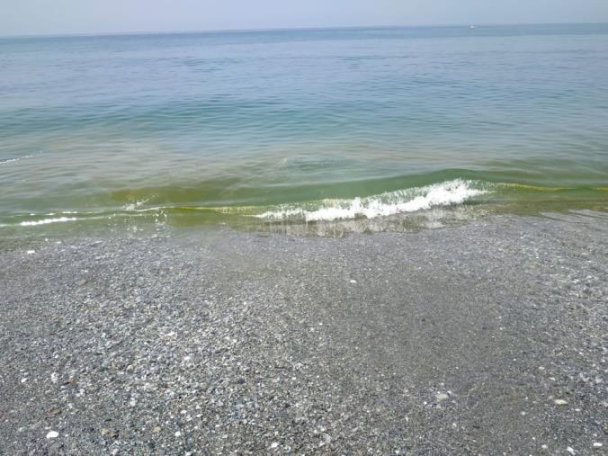 images A Torremezzo il mare si tinge di "giallo": bagnanti in fuga dalla spiaggia