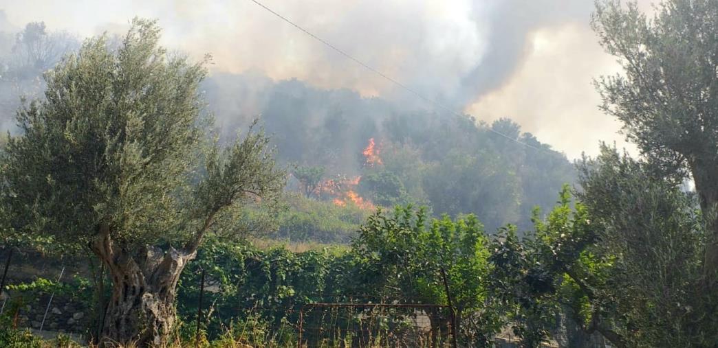 images Incendio a Reggio: in azione la task force guidata da Calabria Verde