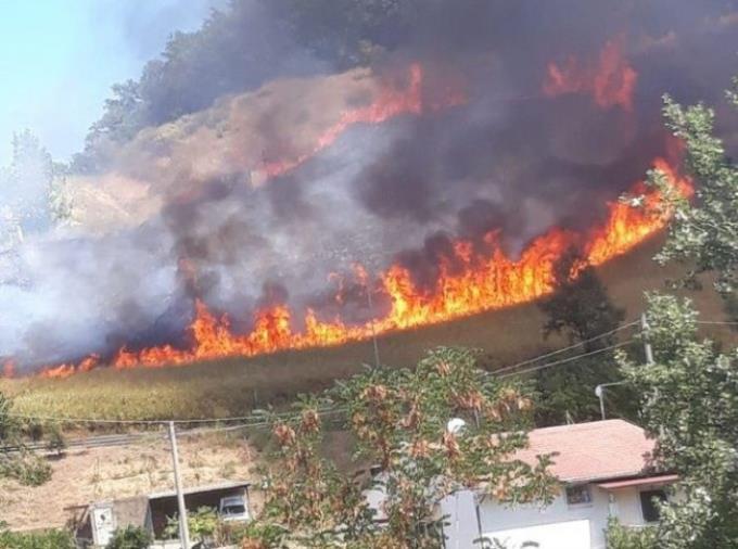 images Emergenza incendi, vertice in Prefettura a Cosenza: i sindaci inviteranno i privati alla manutenzione dei terreni incolti