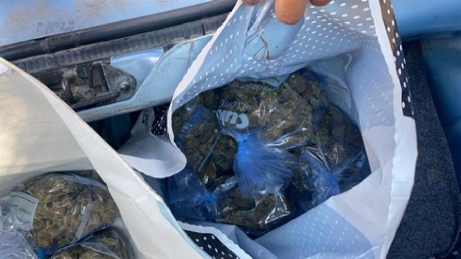 images Crotone. Trovato più di un chilo di marijuana in un'auto abbandonata di proprietà di una persona deceduta  