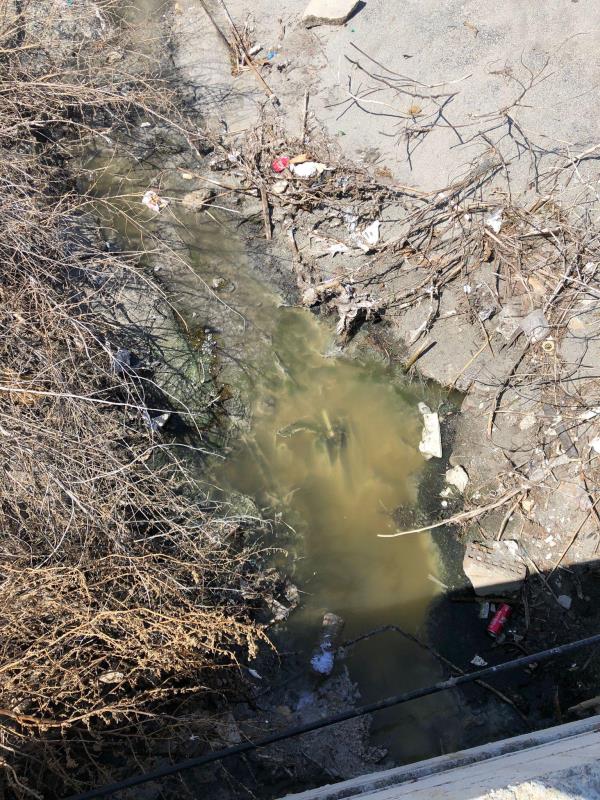 images Reggio Calabria. Il Comitato di Quartiere “Ferrovieri-Pescatori” lamenta l'immobilismo del Comune