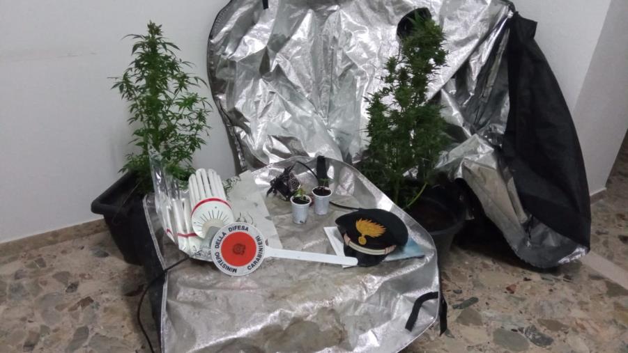 Detengono e producono sostanze stupefacenti a Rocca di Neto e Crotone: denunciati due giovani