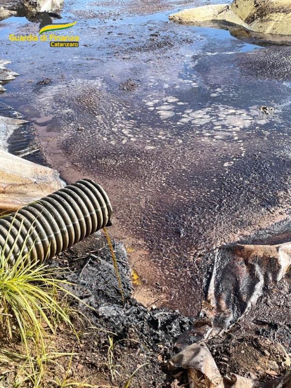 images Lamezia Terme, sequestrato uno stabilimento di produzione e vendita di olio d’oliva