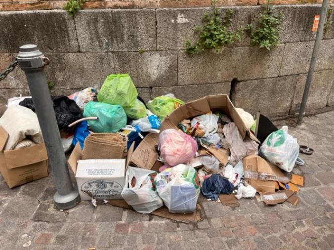 images Catanzaro, Stefano Veraldi: "La scalinata che conduce alla Cattedrale di S. Maria Assunta impraticabile per i tanti rifiuti"