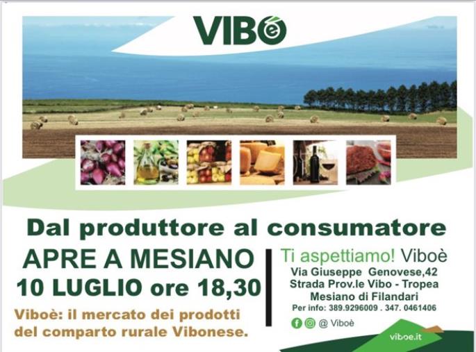images "Dal  produttore al consumatore": apre a Mesiano il  Mercato locale del comparto rurale vibonese  