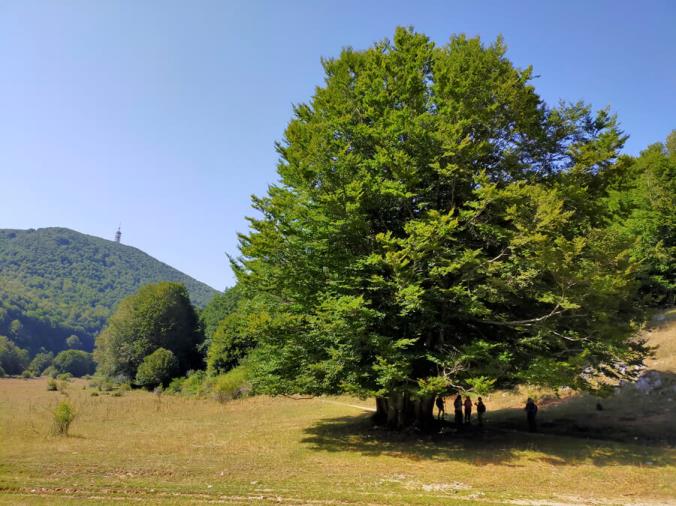 images Soccorso Alpino e Speleologico Calabria: il vademecum per vivere la montagna senza incidenti