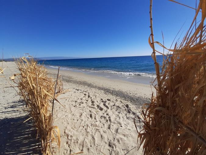 images San Sostene, alla “Golden Beach” azzurrati dallo Jonio e profumati dai gigli