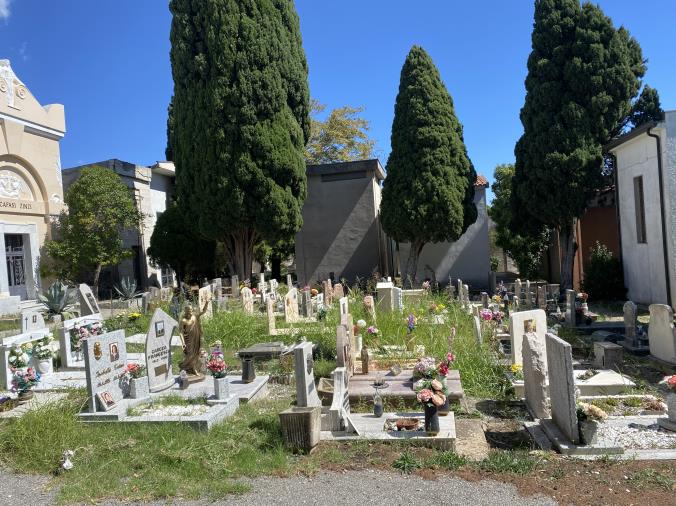 Nel cimitero di Catanzaro tombe "affogate" dall'erba e c'è chi si fa le pulizie da solo 