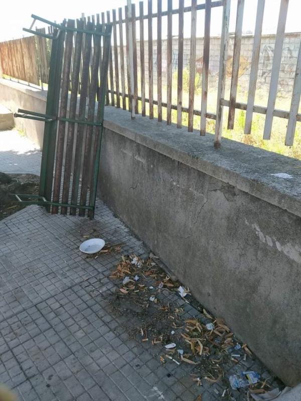 Catanzaro, "salta" la panchina sotto l’olmo storico di Viale degli Angioini 