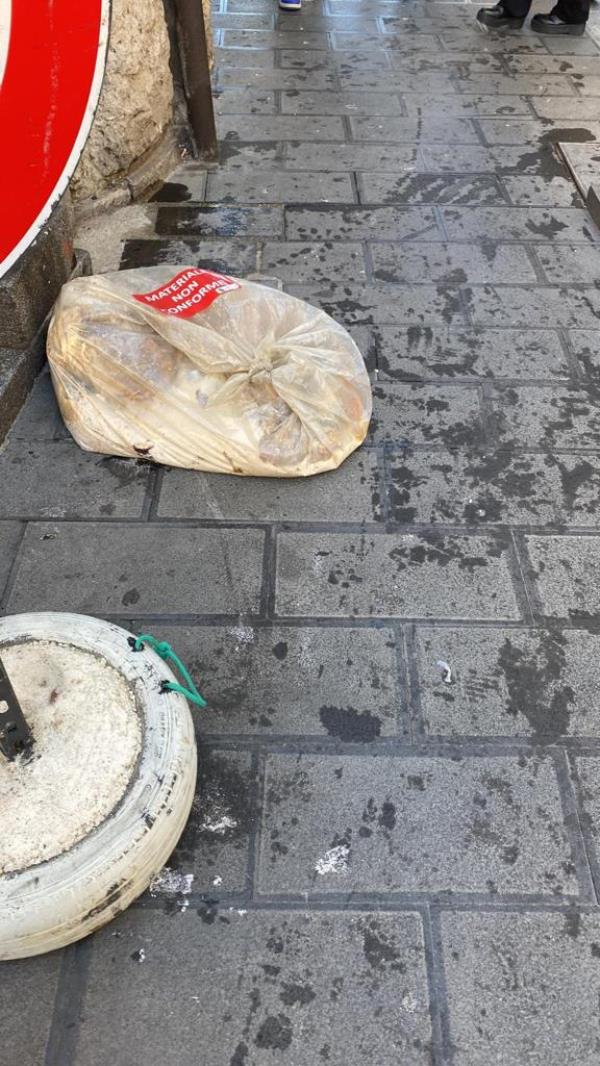 images Catanzaro, sacchetti di rifiuti trascinati su Corso Mazzini che diventa un "percorso oleato" (VIDEO)